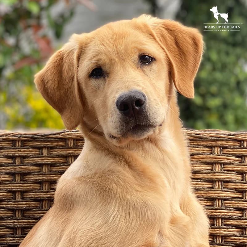 Chein Coiffeur Valby baggrunds billede