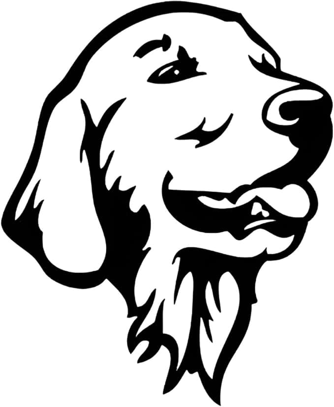 Chein Coiffeur Valby-logo